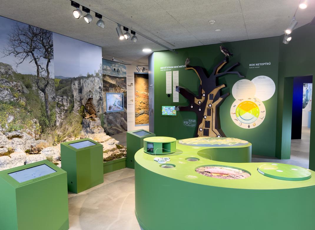 Koněpruské jeskyně - Dům přírody Českého krasu - expozice