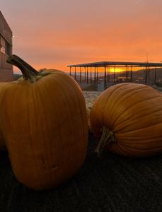 Halloween v Koněpruských jeskyních, 31. 10. a 1. 11. 2025