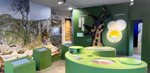 Koněpruské jeskyně - Dům přírody Českého krasu - expozice